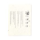 Semilla magpapír öntapadós jegyzettömb