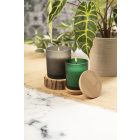 Daizu gyertya, fenyőfa